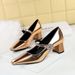 5288-K89 Wind Banquet Metal Water Diamond Buckle Strap Medium Thick Shallow Mouth Square Heel Women's Single Shoes_vogvips.com