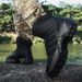New Outdoor Men's Shoes, Outdoor Battlefield Training Hiking Boots_vogvips.com