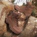 Men's Tactical Combat Boots High Top Outdoor Hiking Boots For Trekking Camping Training - Desert, Camo Green, Khaki, Black, Brown Training Boots Men_vogvips.com