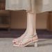 Stunning Women's 2026 Summer New Style Outdoor Wear, Fairy-style Roman Sandals With Chunky Heels, French High-heeled_vogvips.com
