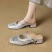 Chunky Heel Mary Jane Slippers, Women's Outdoor Wear, Hollow Out Design, Perfect For Skirts, 2026 Summer New Style Hot Selling Sandals_vogvips.com