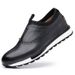 Euro Step 2025 Spring New Top Layer Cowhide Men's Brogue Loafers Genuine Single Flat Leather Shoes_vogvips.com