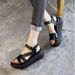 Soft Leather Platform Sandals Women's Ethnic Wind Slope Heel Soft Sole Medium Heel Muffin Bottom Fish Mouth Women's Shoes_vogvips.com