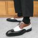 Euro Step Spring And Autumn Brogue Leather British Style Color Block Business Formal Casual Large Size Men's Shoes_vogvips.com