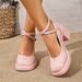 Women's Plus Size Round Toe High Heeled Mary Jane Shoes Autumn Cross Strap Chunky Heel Single Shoes For Comfortable Walking_vogvips.com