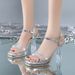 European And American Fashion One-strap Sandals 2025 New Model Transparent Rhinestone Chunky Heel Platform High-heeled_vogvips.com