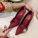 Women's Bridal Pointed Toe Wedding Shoes Champagne Colored High Heels Stiletto Crystals Bridesmaid Dress Shoes_vogvips.com