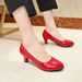 Pumps Nude Shallow Mouth Women New Fashion Office Work Wedding Ladies Low Heel Shoes Summer Heels Woeman_vogvips.com