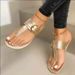 Summer New Flat Toe Clip Metal Buckle Outside Wearing Slippers Woman_vogvips.com