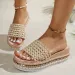 Summer Outdoor Platform Slippers Casual Round Toe Sandals Plus Size Simple Ladies Shoes Slides Women 260112_vogvips.com