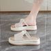 Women's Summer New Style Shiny Color Platform Flip-flops, Casual And Versatile, Single Strap Sandals, Anti-exposure Flip-flops_vogvips.com