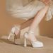 Runway Mary Jane Heels - Platform Chunky Heel Shoes With Buckle Strap | Square-Toe Chunky Heel Mules In Cream White_vogvips.com