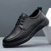 Spring New Top Layer Cowhide Pigskin Lining Wear-Ristant Breathable Casual Bus Lace-Up Men's Leather Dad_vogvips.com