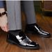 TerraStride Business Formal No-Lace Slip-On Glossy Pointed Toe Flat Men's Leather Suit Hollow Large Size Shoes_vogvips.com