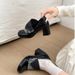 2026 Retro British Style Chunky Heel High Heels For Women, 2026 Spring Mary Jane Shoes, Small Leather Shoes_vogvips.com