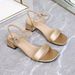 Cross-border Simple And Elegant Sandals For Outdoor Wear, Large Size With Chunky Heels, Single Strap Buckle, Versatile_vogvips.com
