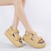 Women’s Shoes Summer New Open Toe Woven Hollow Flat Sandald Roman Shoes Trend Heightening Women's Shoes_vogvips.com