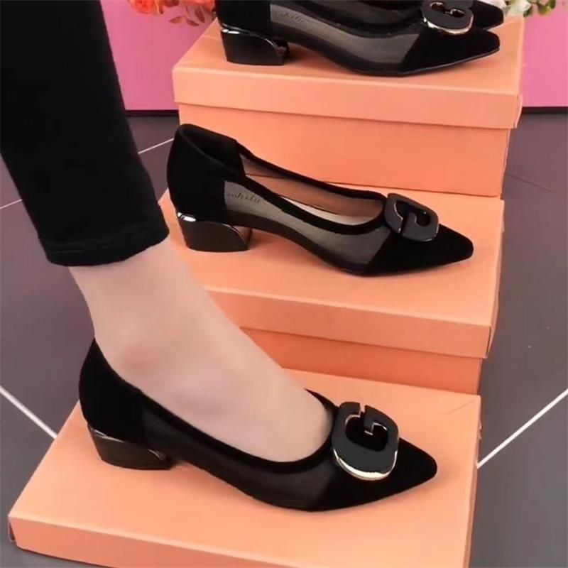 Mesh Sandals Women's Shallow Mouth Pointed Head Low Heel Thick Heel Single Shoes Hollow Breathable Large Size Women's Shoes_vogvips.com