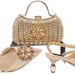 Women’s Shoes Fashionable and sexy women's shoe and bag set Diamond buckle flower decoration Ankle diamond chain with hard clutch bag_vogvips.com