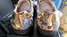 Spring/Summer 2025 New Edition Medusa Men's Shoes, Genuine Leather Breathable Casual Board Shoes_vogvips.com