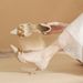 Sheepskin High Heels For Women Thin Heel Spring New Pointed Toe Metal Chain Shallow Mouth Pumps_vogvips.com
