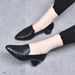 2024 Deep Mouth Pointed Toe Fashion Mid-Heel Work Internet Celebrity Hot-Selling Wedge Spring And Autumn Embroidered_vogvips.com