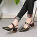 2026 Spring/Summer New Shoes: Pointed Toe Chunky Heel Closed-Toe Shoes, Mid-Heel Buckle High Heels, Hollow-Out Women's_vogvips.com