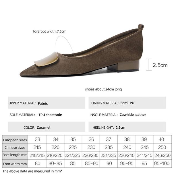 Cameido Shoes For Women. These Pointed - Toe Flat - Soled Shoes Feature A French - Style “mama Shoe” Design, Perfect For Commuting_vogvips.com