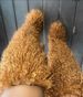 1178225343@qq.com Cross-Border Autumn Winter Outdoor 72cm Thigh High Beach Wool Over-the-Knee Fur Snow Boots Women_vogvips.com