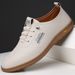TerraStride 2025 Spring New Men's Casual Shoes Leather Soft Sole Slip-On Loafers White 1173_vogvips.com