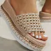 Summer Outdoor Platform Slippers Casual Round Toe Sandals Plus Size Simple Ladies Shoes Slides Women 260112_vogvips.com
