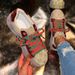 Women's European Style Platform Sneakers Color Blocking Embroidered Plus Size Casual Sports Shoes Spring New Fashion_vogvips.com