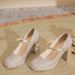 2026 Women's Square-Toed High Heels With Chunky Heel Strap, French Fairy Style, Elegant And Sexy, Waterproof Platform_vogvips.com
