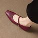 Cameido French Vintage Square Toe Versatile Shallow Square Heel Shoes For Women, 2025 Autumn Mary Jane Style With Ankle Strap_vogvips.com