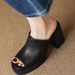 Peep Toe Thick Sole One-Strap Women's Fashion Outdoor Chunky Sandals 2024 New Summer High Heel Waterproof Platform_vogvips.com