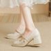 Mary Jane Women's Shoes 2026 New Spring Autumn Fashion Versatile French-style Medium Block Heel Shoes, Gentle And_vogvips.com