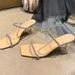 Transparent High For Women's Summer 2025 New Fashion Internet Celebrity Slim Heels With Cool Slippers Wearing Water_vogvips.com