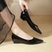 Black Elegant Chunky Comfortable Professional Work For Women 2025 New Spring And Autumn Pointed Toe Shallow Mouth Low_vogvips.com