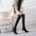 Autumn Winter New Pointed Toe Stiletto Sexy Patent Leather Women Back Zipper Over-the-Knee Elastic Boots_vogvips.com