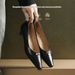 Cameido Women's Spring Pointed Toe Chunky Heel Commuting Dress Shoes With Comfortable Lining_vogvips.com