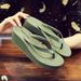 European American New Style Women's Thick-Soled Summer Fashion Flip-Flops, Trendy High-Heeled Slippers, Non-Slip Thong_vogvips.com