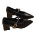 High-quality Soft Popular Style Elegant Shallow-cut Chunky Heel Women's New Pointed-toe Mid-heel Commuting Shoes,_vogvips.com