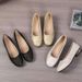 New Chinese-style Women's Shoes, Comfortable Versatile, Low-cut, Low-heeled, Chunky Heel, Sole Soft Upper, Fashionable_vogvips.com
