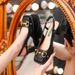 French Style High Heels, Women's Horseneck Thick Heel Square Single Shoes, 2025 Summer New Buckle Toe Sandals_vogvips.com