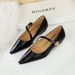 3683-5K92 Elegant And Fashionable Women's Shoes With Shallow Mouth, Pointed Toe, Sloping Heel, Straight Strap, Single_vogvips.com