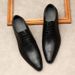 Italian Business Formal Embossed Leather Men's Pointed Handmade British Style Lace-up Derby Shoes_vogvips.com