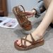 French-style Vintage Cross-strap Thick-soled Sandals Women, New Summer 2026, Elegant Fairy Style, Suitable For Pairing_vogvips.com