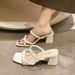 Women's Summer Sandals For Outdoor Wear 2024 New Fashion Versatile Chunky Heel Fairy Style Retro French Niche High Heels_vogvips.com