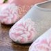 Cotton Slippers/single Slippers 2025 Spring/Summer New Silk Satin Embroidered Jelly Soft Soled Women's Shoes_vogvips.com