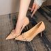 Widened High Heels For Wide Feet 2025 Autumn Pointed Toe Stitto Belt Buck Solid Color Egant Mature French Punk_vogvips.com
